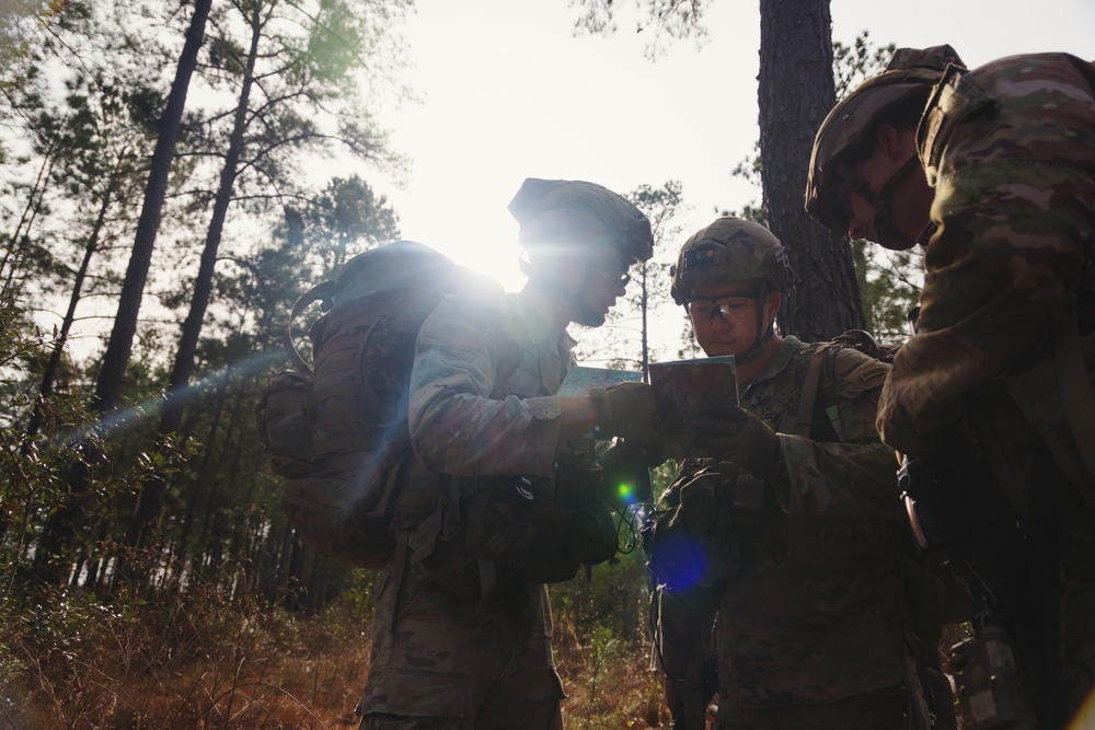 DIVARTY Best of the Best 2025