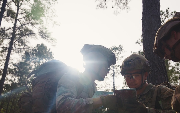 DIVARTY Best of the Best 2025