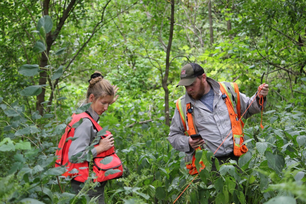 Partnerships advance research  in groundbreaking study