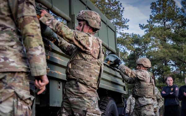 DIVARTY Best of the Best 2025