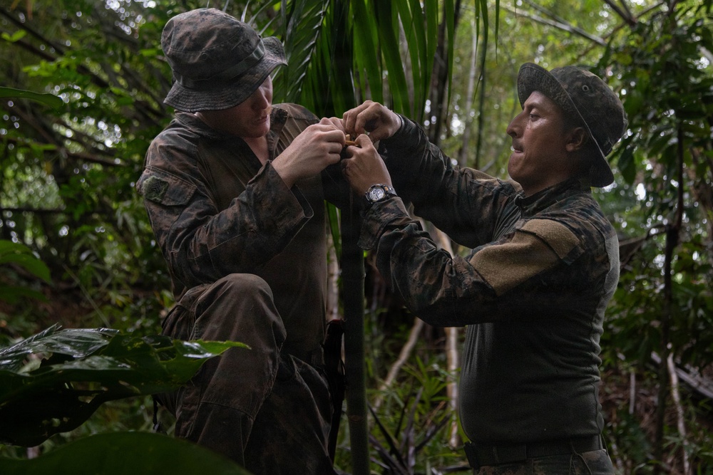 Combined Jungle Operations Training Course 26-2: Day 5