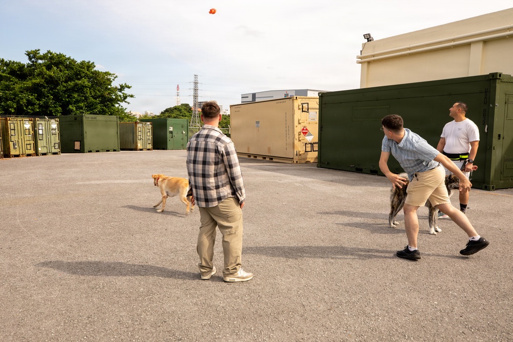 3rd MLG Communications Company Holds Thanksgiving Holiday Party