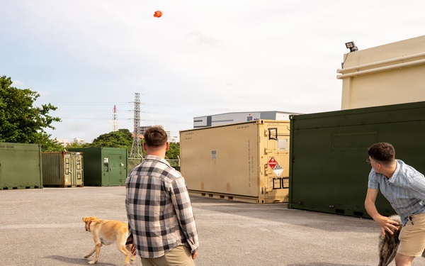 3rd MLG Communications Company Holds Thanksgiving Holiday Party