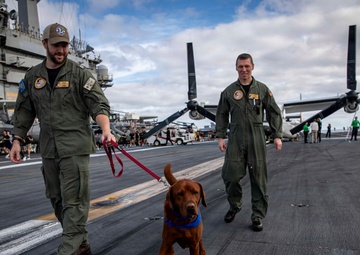 Abraham Lincoln participates in Thanksgiving 5K