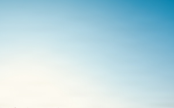 Tug of War: Building partnerships