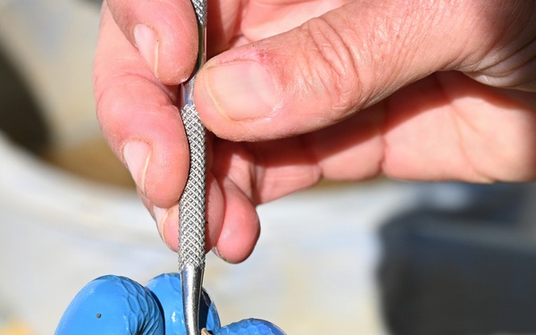 Team Mildenhall helps recover WWII MIA pilot 2nd Lt. Lester Lowry