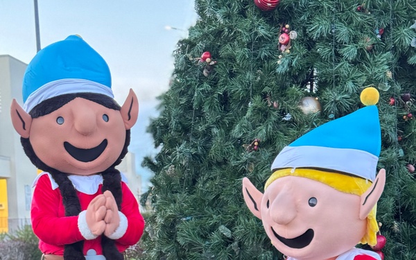 NEX patrons surprised and delighted during Navy Blue Holiday season