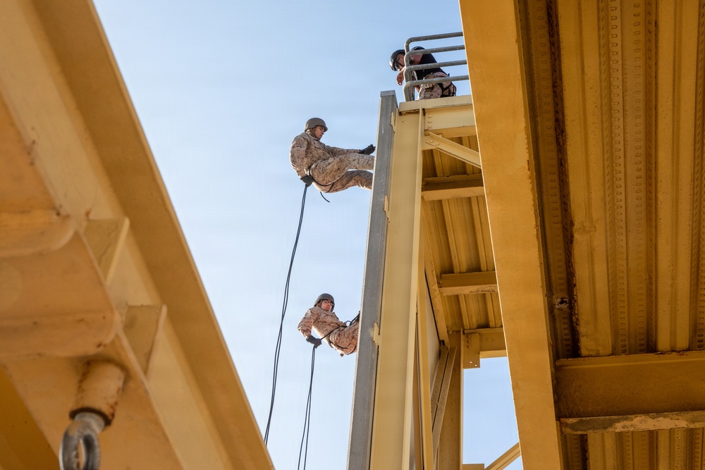 Delta Company Rappel Tower