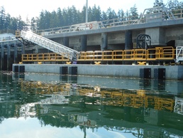 P-834 Service Pier Extension Strengthens Naval Base Kitsap-Bangor’s Role in Indo-Pacific Security