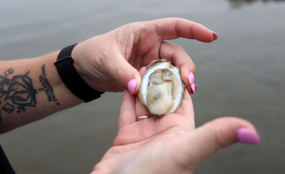 District deploys 3-D printed oyster habitat from dredged material