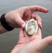 District deploys 3-D printed oyster habitat from dredged material