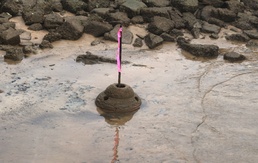 District deploys 3-D printed oyster habitat from dredged material