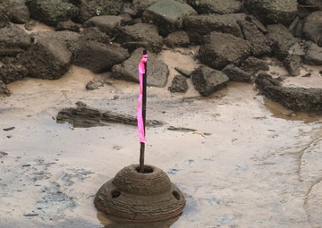 District deploys 3-D printed oyster habitat from dredged material