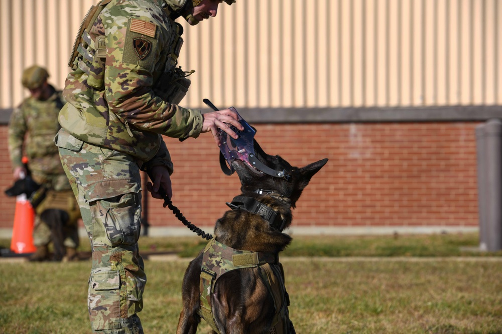 Ruff Riders; 1HS, 316 MWD integration training