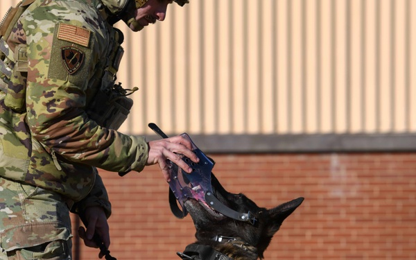 Ruff Riders; 1HS, 316 MWD integration training