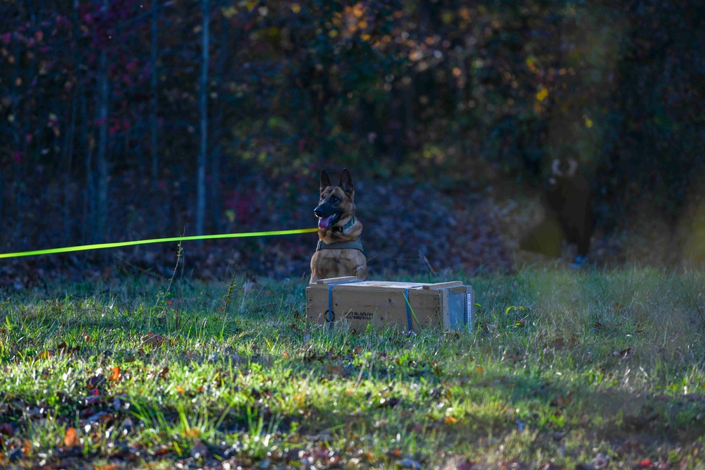 Ruff Riders; 1HS, 316 MWD integration training