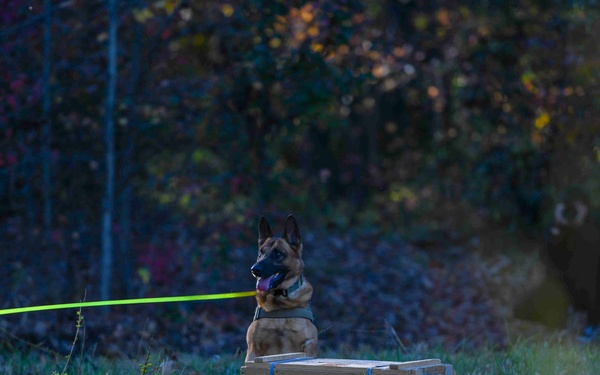 Ruff Riders; 1HS, 316 MWD integration training