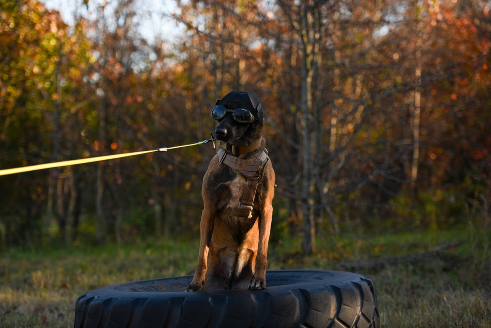 Ruff Riders; 1HS, 316 MWD integration training