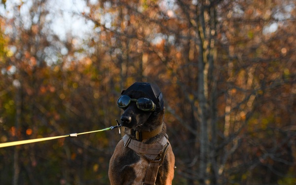 Ruff Riders; 1HS, 316 MWD integration training