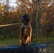 Ruff Riders; 1HS, 316 MWD integration training