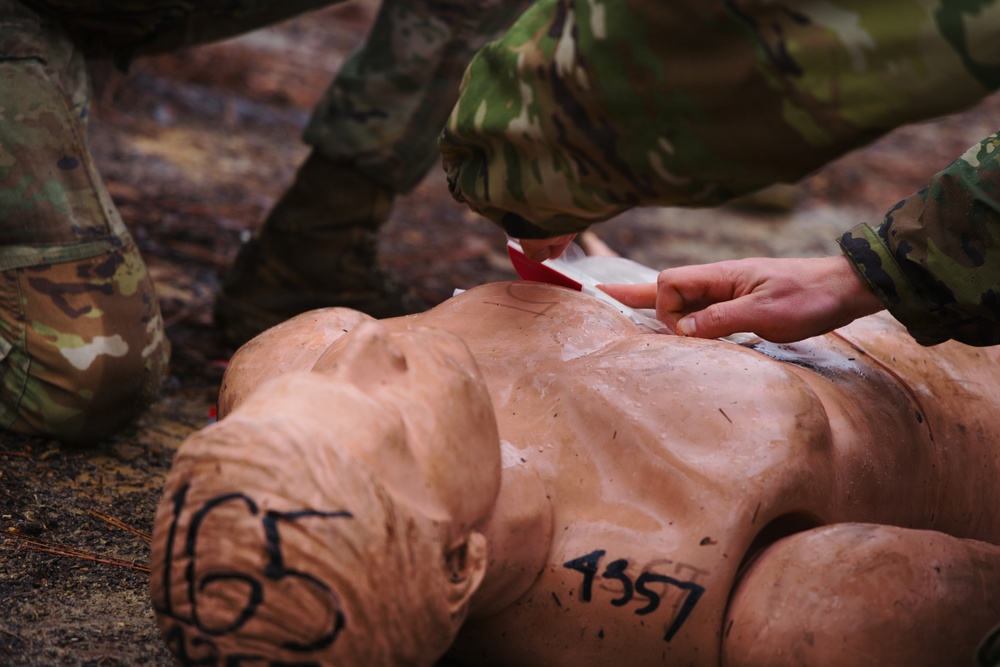 DIVARTY Best of the Best 2025