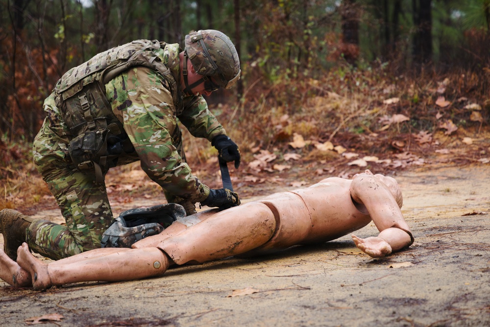 DIVARTY Best of the Best 2025