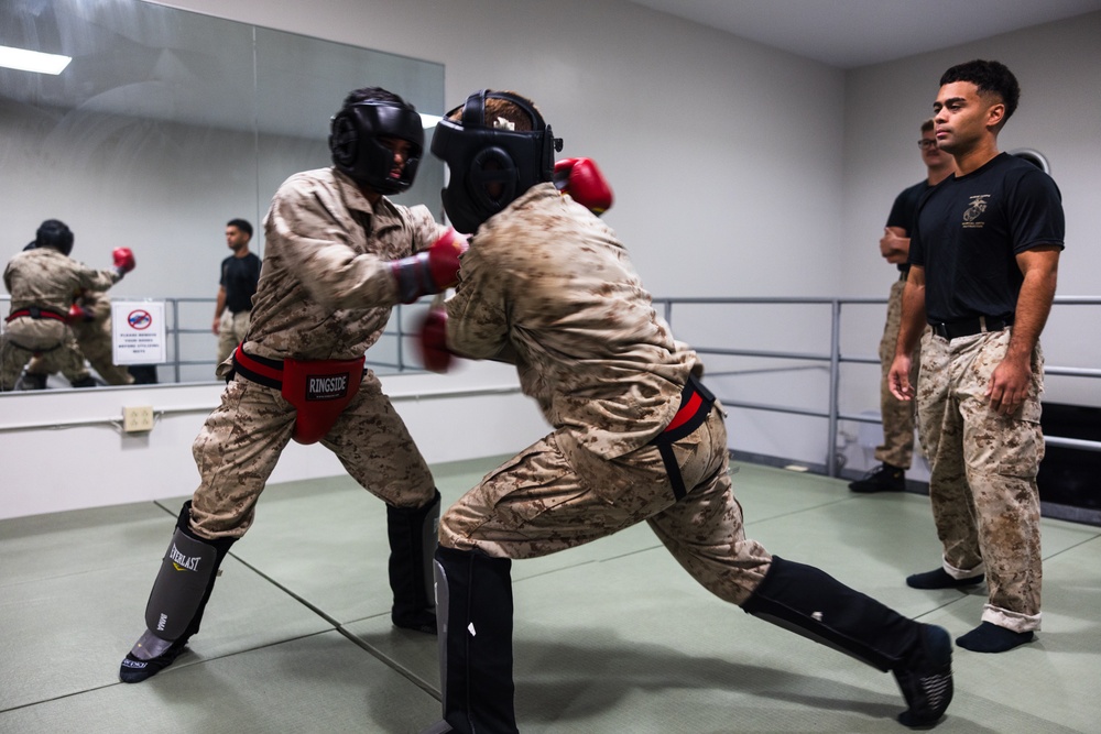 U.S. Marines with Camp Blaz participate in standing and striking during a green belt advancement