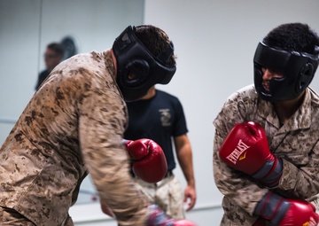 U.S. Marines with Camp Blaz participate in standing and striking during a green belt advancement