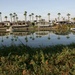 California Delta: Tyler Island Resort (2006)