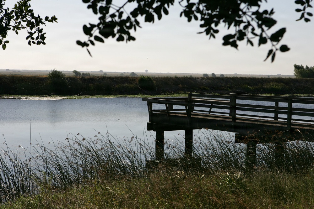 California Delta: Twitchell Island (2006)
