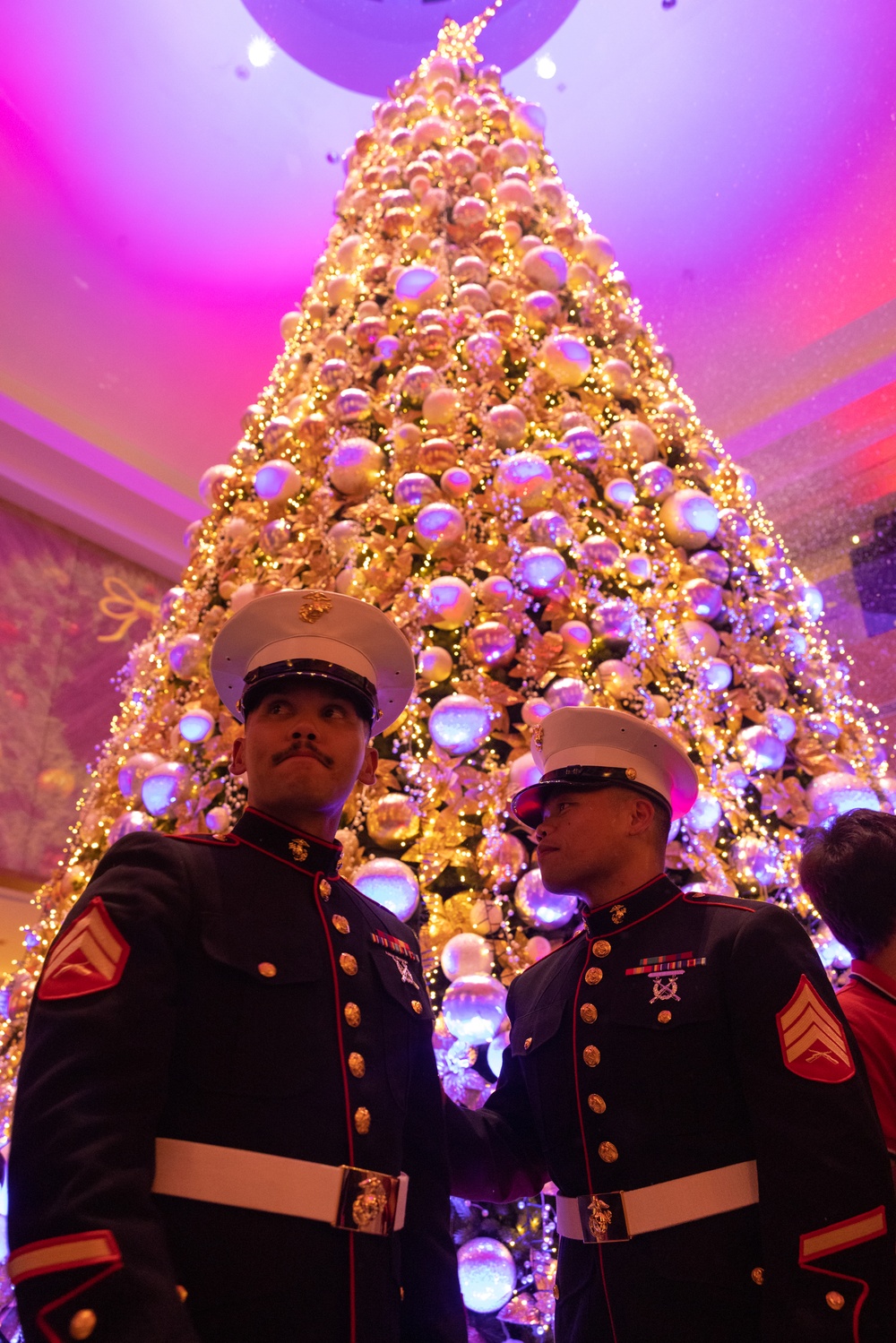 Camp Blaz Marines participate in Christmas tree lighting