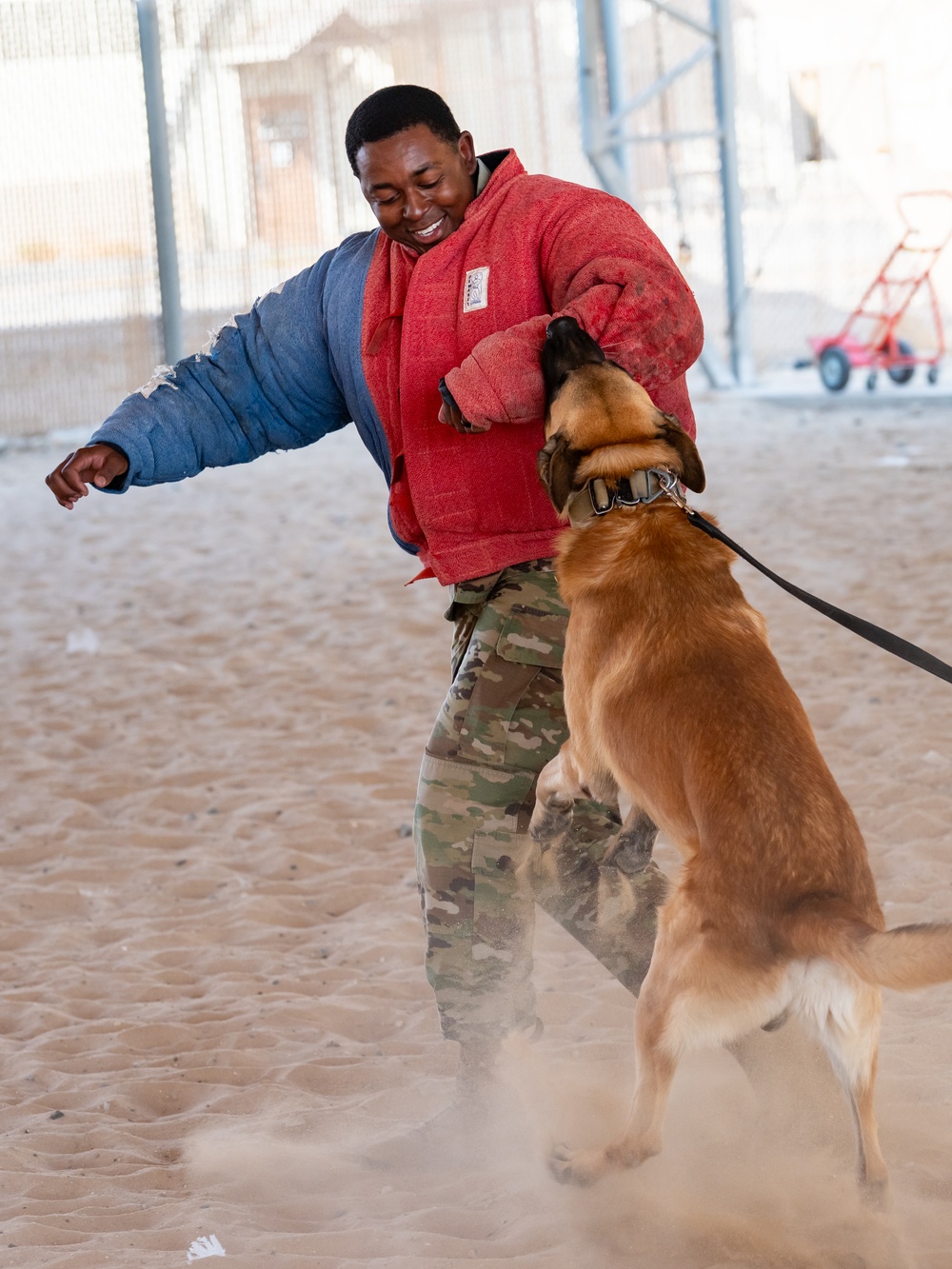 K9 Demonstration Battlefield Circulation
