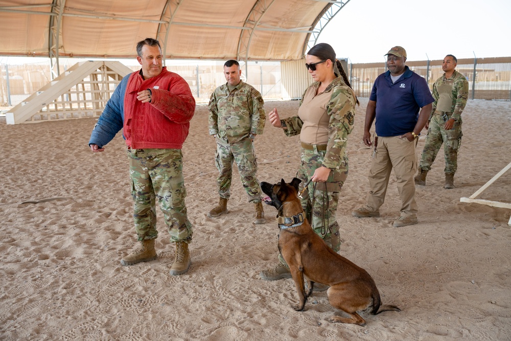 K9 Demonstration Battlefield Circulation