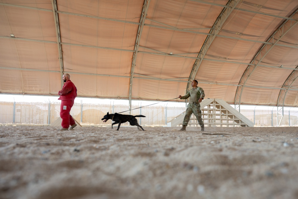 K9 Demonstration Battlefield Circulation
