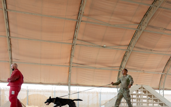 K9 Demonstration Battlefield Circulation