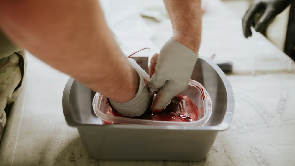 JMTG-U Troopers Conduct Realistic Casualty Treatment Training