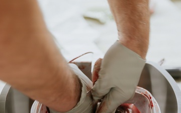 JMTG-U Troopers Conduct Realistic Casualty Treatment Training