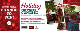 AAFES Holiday Pet Photo Contest