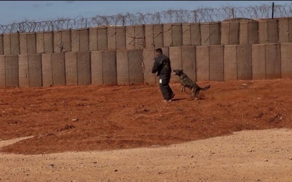 ILLINOIS NATIONAL GUARD UNIT FROM PONTIAC PLAYED VITAL ROLE IN U.S. MILITARY OPERATIONS IN SOMALIA