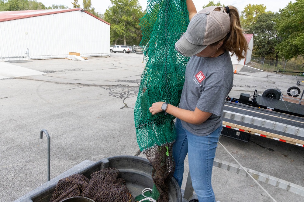 Trot lines, and trammel nets and trawls, oh my! Trying to catch the elusive age-one pallid sturgeon