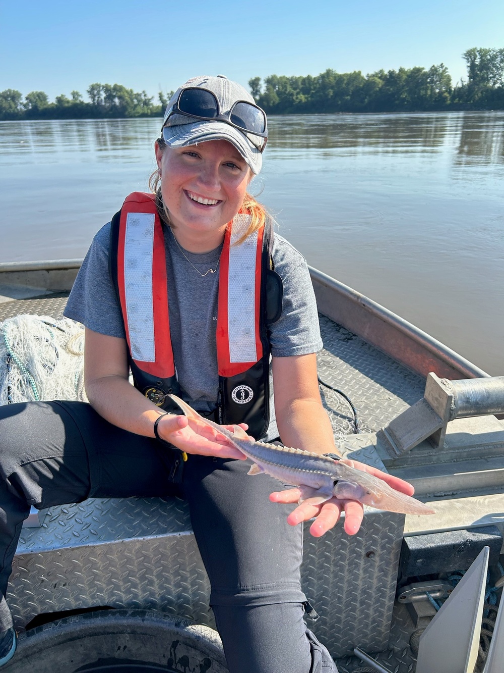 Trot lines, and trammel nets and trawls, oh my! Trying to catch the elusive age-one pallid sturgeon