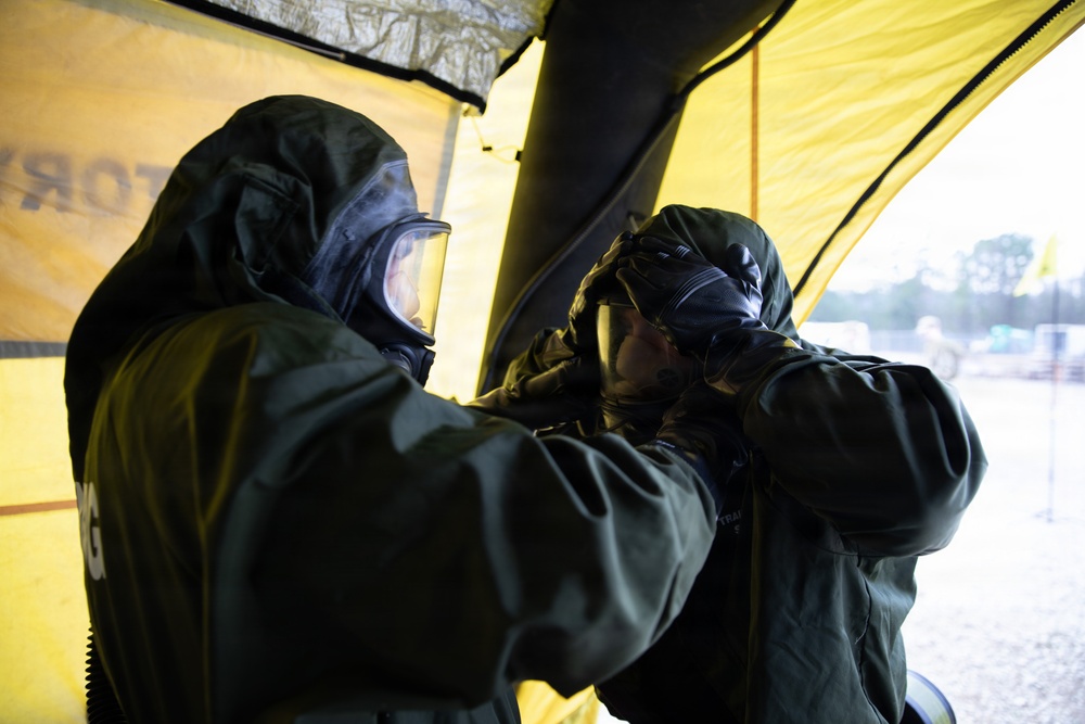 Team Work Makes the Dream Work