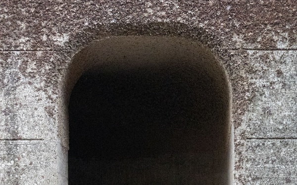 Scraping for Safe Passage: Inside the Chittenden Locks’ Annual Barnacle Scraping