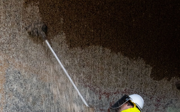 Scraping for Safe Passage: Inside the Chittenden Locks’ Annual Barnacle Scraping