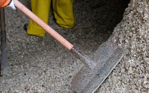Scraping for Safe Passage: Inside the Chittenden Locks’ Annual Barnacle Scraping