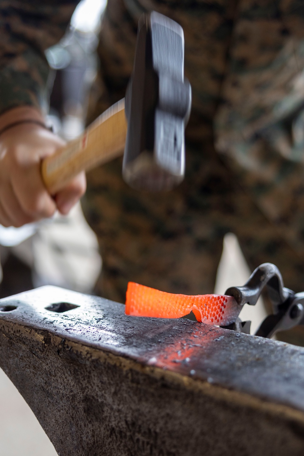 2nd Marine Logistics Group Builds Camaraderie during Black Horse Forge Event