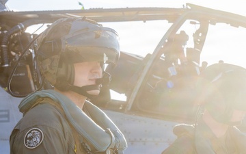 Steel Knight 25 Stingers Conduct Close Air Support