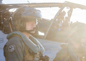 Steel Knight 25 Stingers Conduct Close Air Support