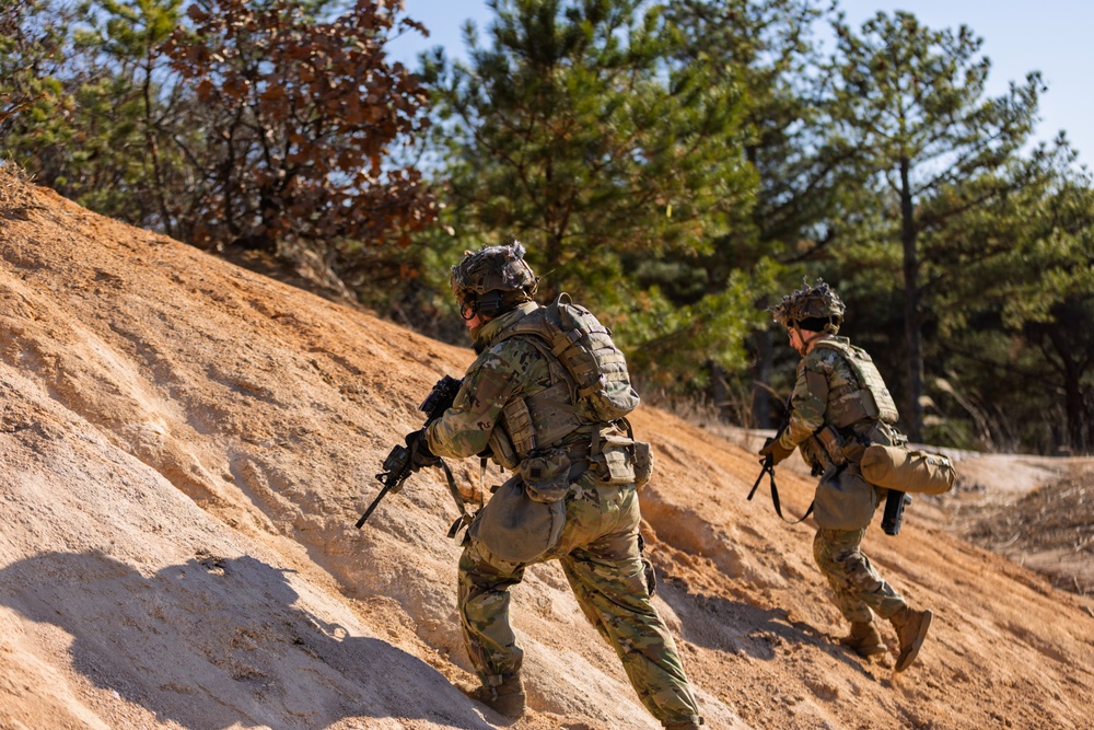 Infantry, ROKA Mechanized, and Engineer Forces Unite for Live Fire Exercise.
