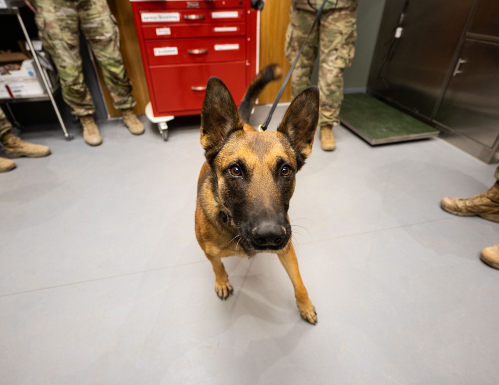 332nd EMDS receives canine TCCC training